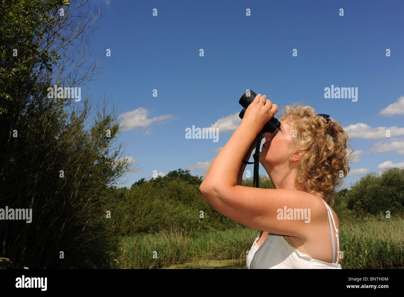 Female middle aged woman enjoying birdwatching with binoculars at woods