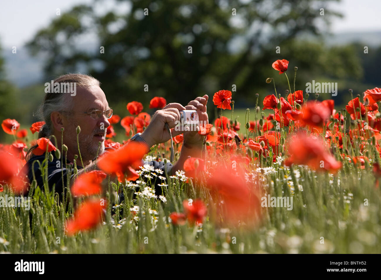 Unusual Poppy Colour High Resolution Stock Photography and Images - Alamy