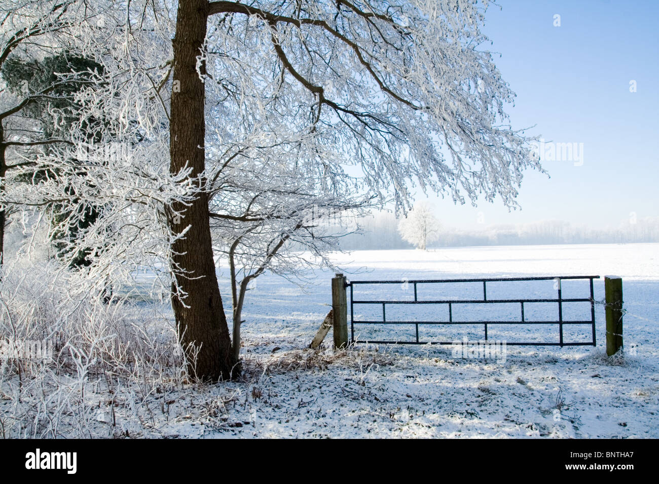 Farmland during Winter in Holland Stock Photo