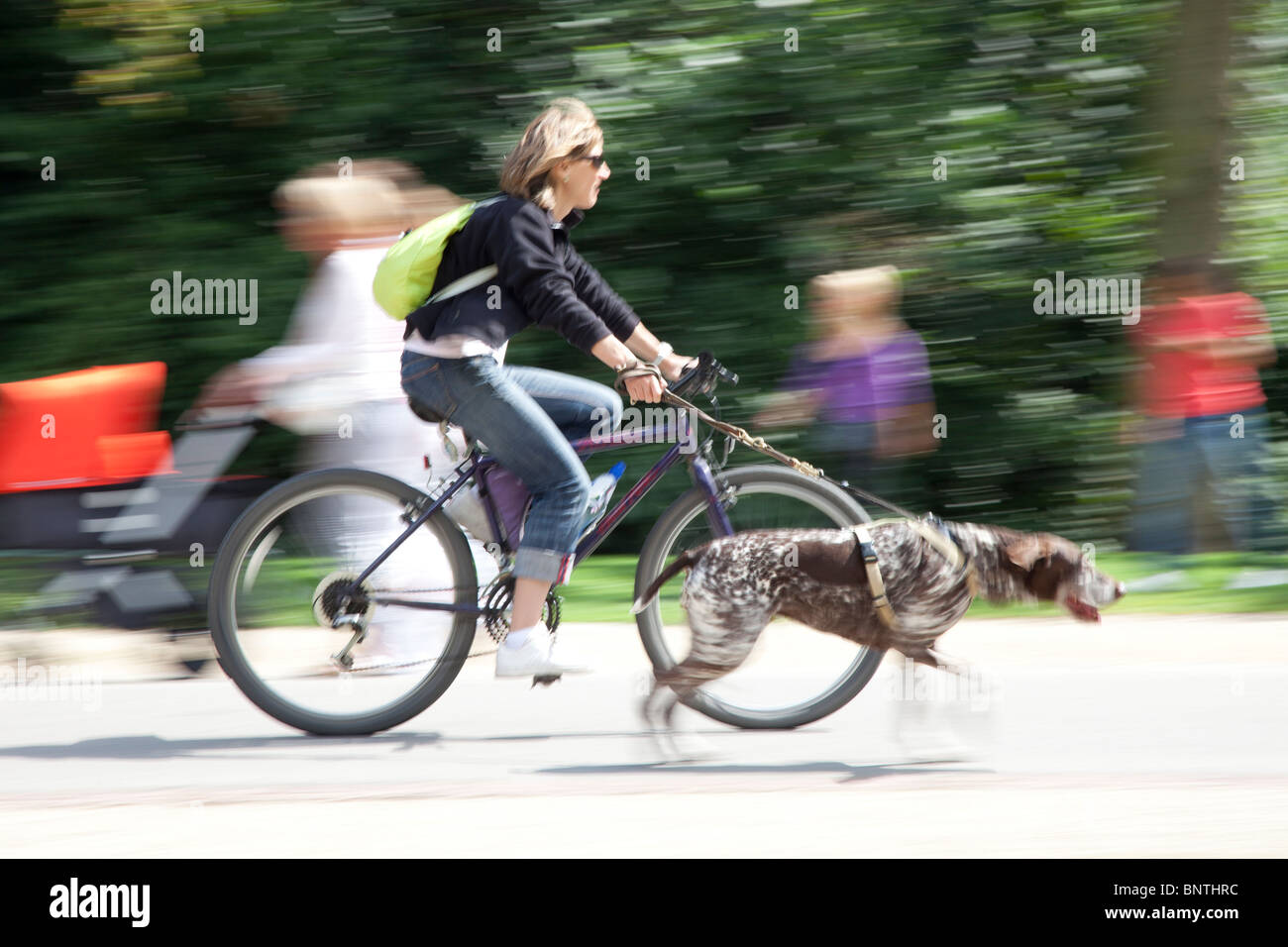 Children walking dog lead hires stock photography and images Alamy