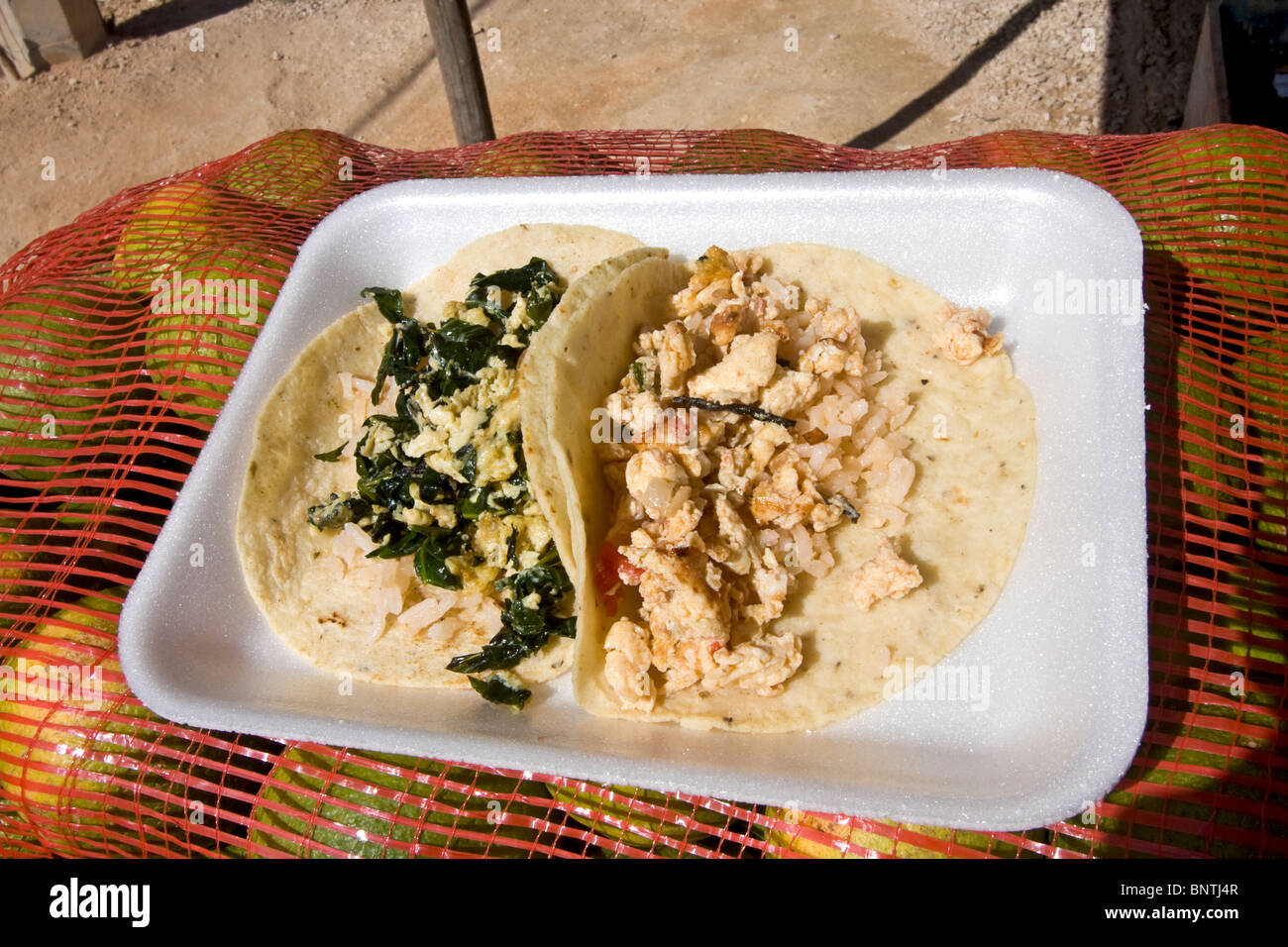 Tortillas and eggs, a typical Mexican + Mayan snack, served at roadside