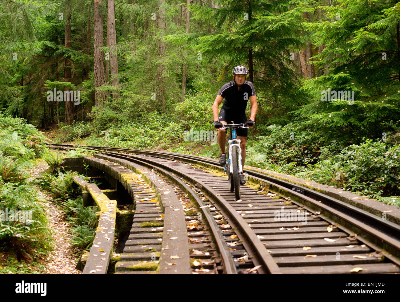 Bike ride in the woods hires stock photography and images Alamy