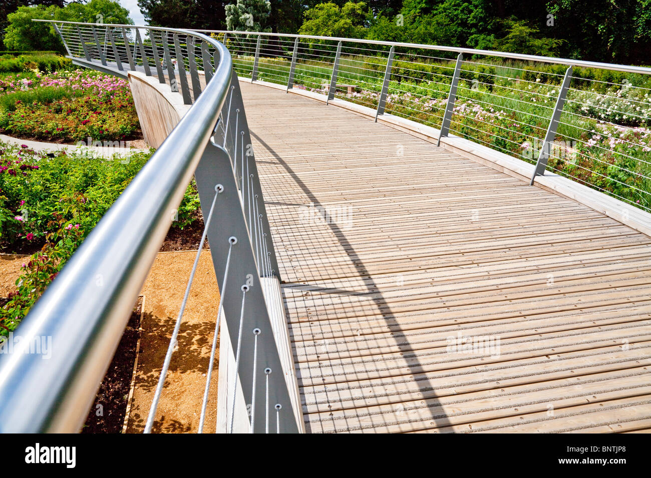 The contemporary walkway above the new Rose Garden in the Savill Gardens, part of the Royal Landscape, near Windsor, England, U Stock Photo