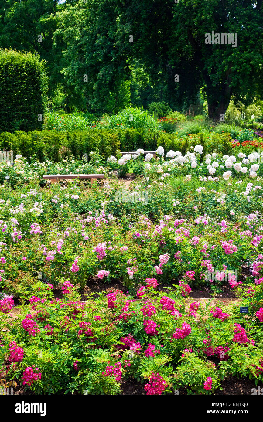 Windsor fair hires stock photography and images Alamy