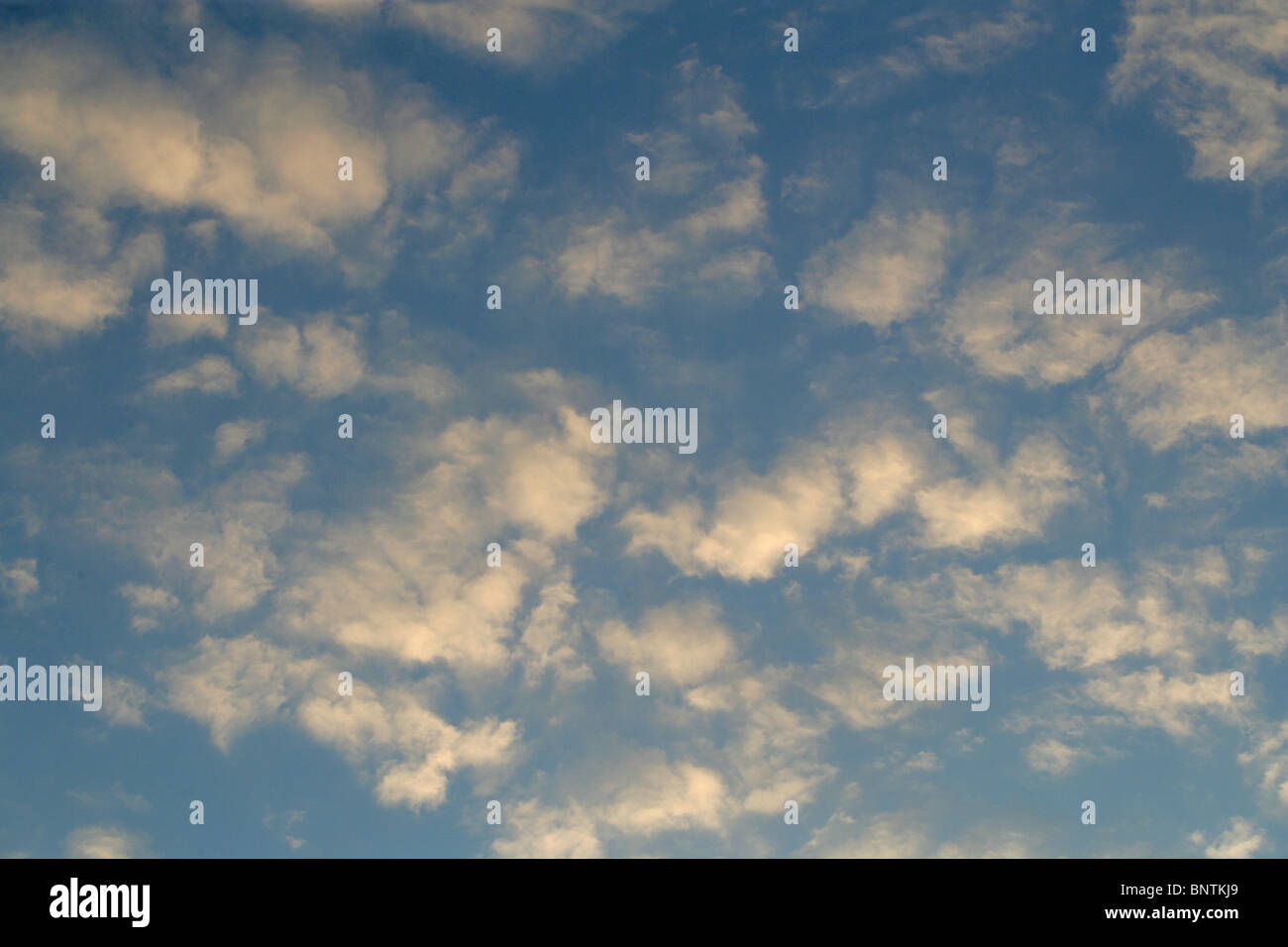 Fluffy White Cumulus Clouds in a Blue Sky Stock Photo - Alamy