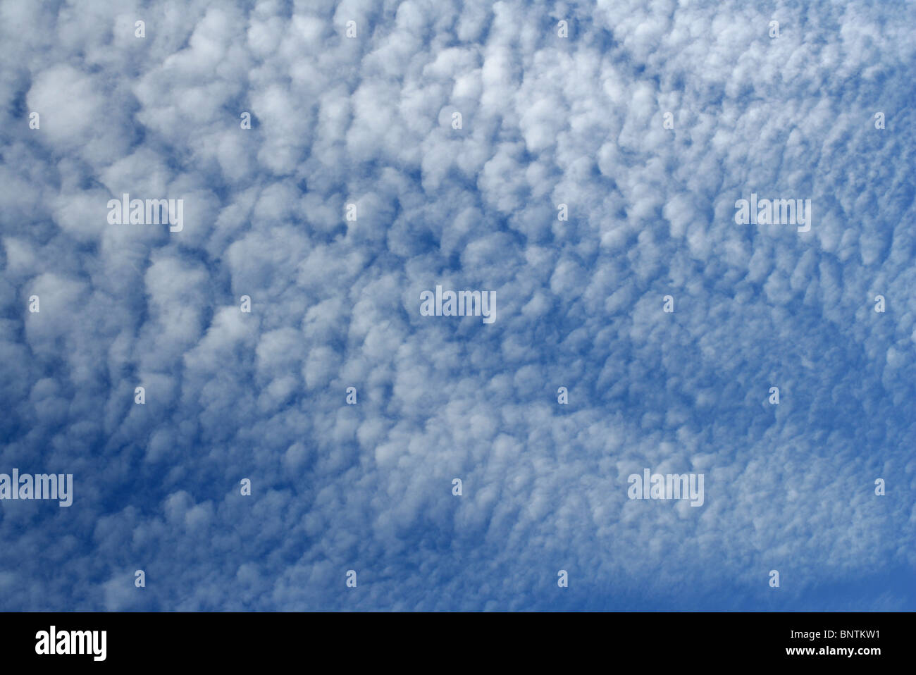 Cloud Formation "Mackerel Sky Stock Photo Alamy