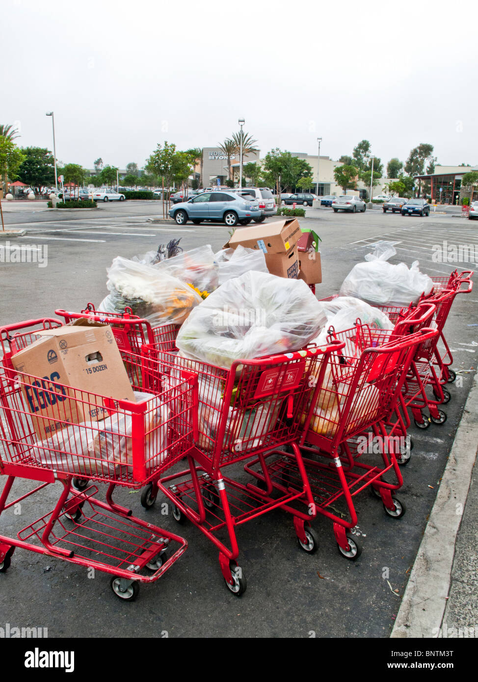 Food donations from a grocery store stand ready for pickup by a local