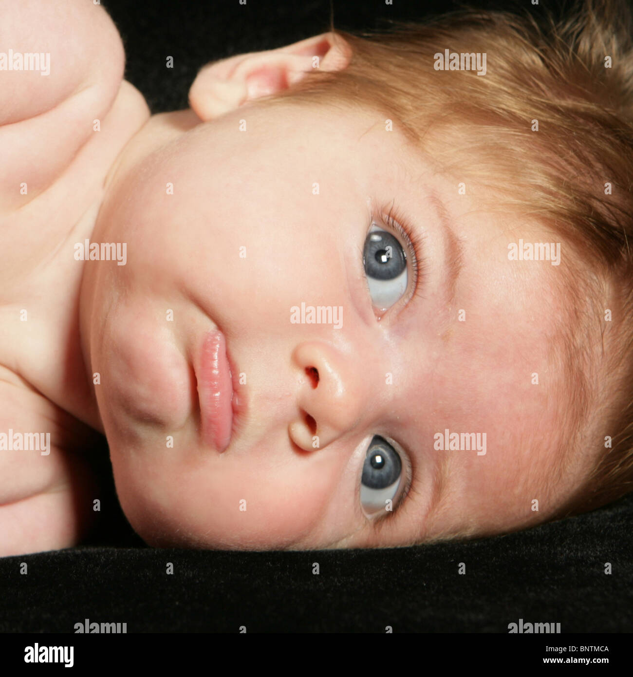 baby red hair blue eyes closeup Stock Photo Alamy