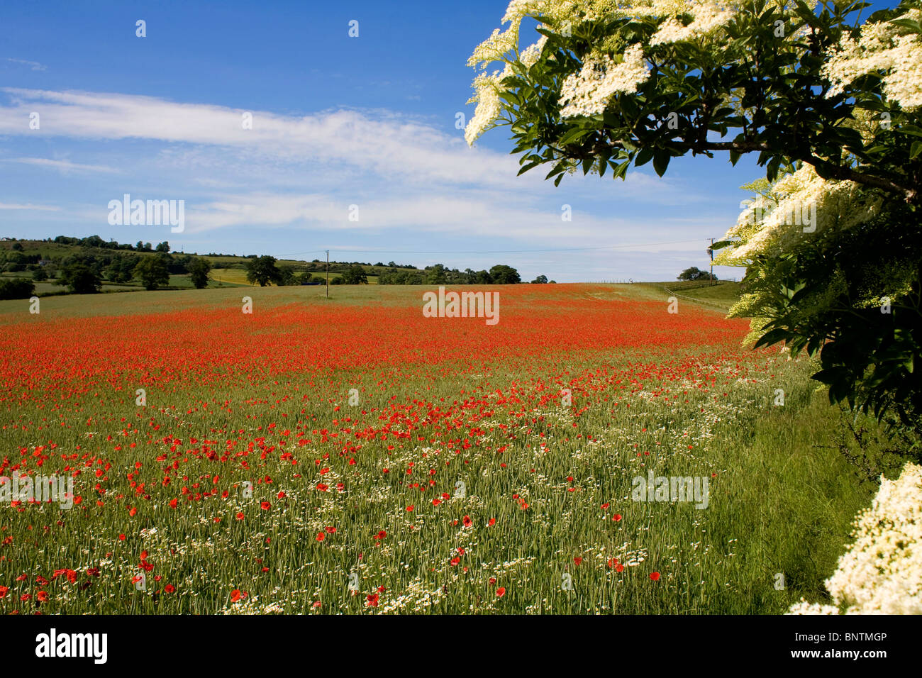 Lyth hill hi-res stock photography and images - Alamy