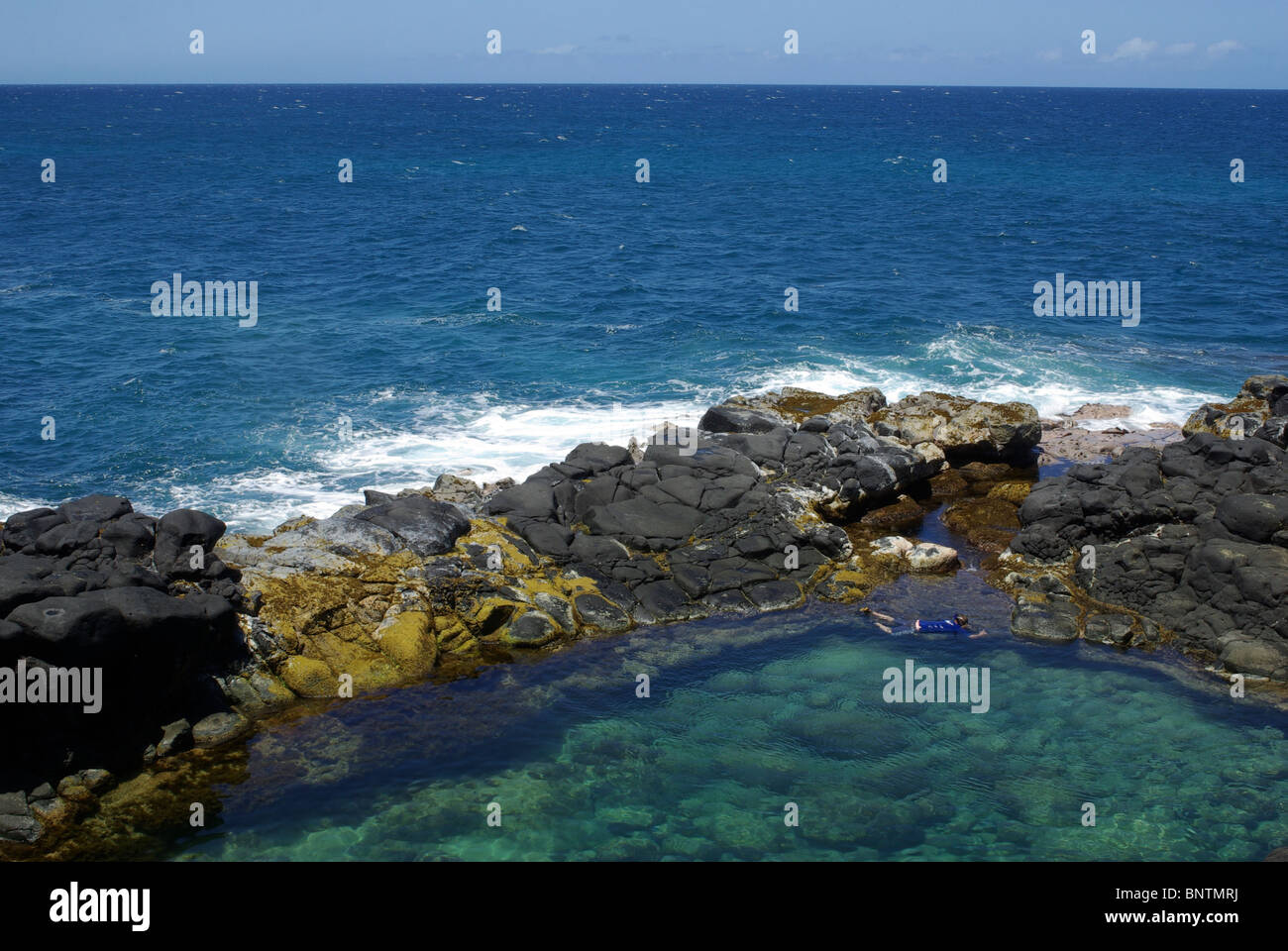 A tide pool at Queen's Bath sheltered from the ocean by a wall of lava ...