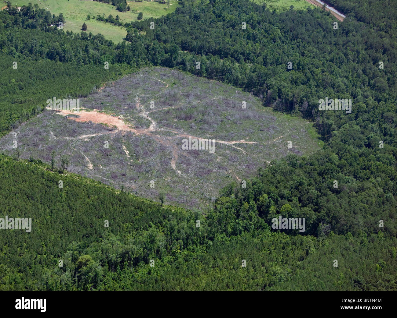 aerial view above clear cutting forest rural Alabama Stock Photo