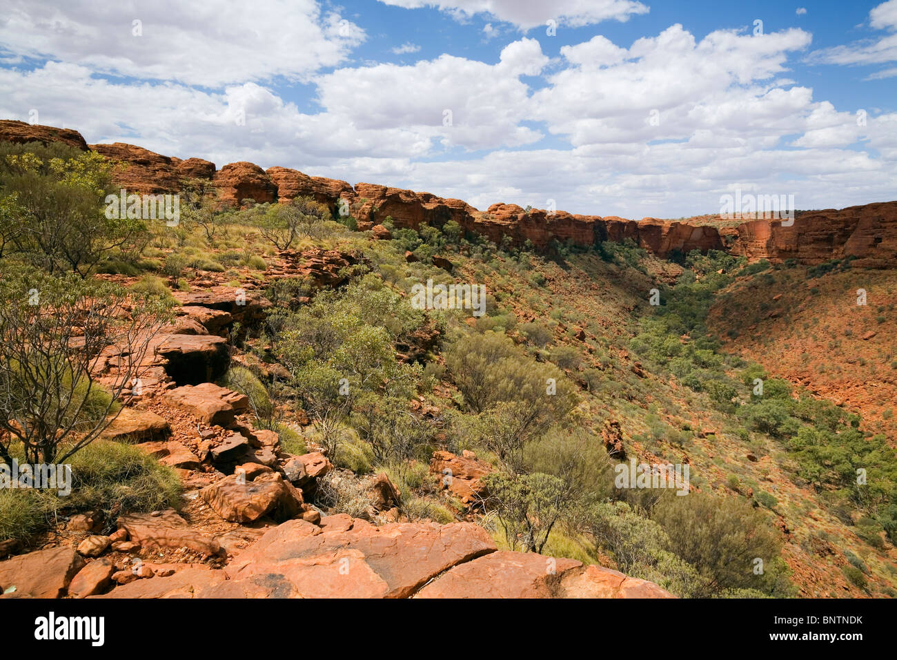 Watarrka (Kings Canyon) National Park, Northern Territory, AUSTRALIA. Stock Photo