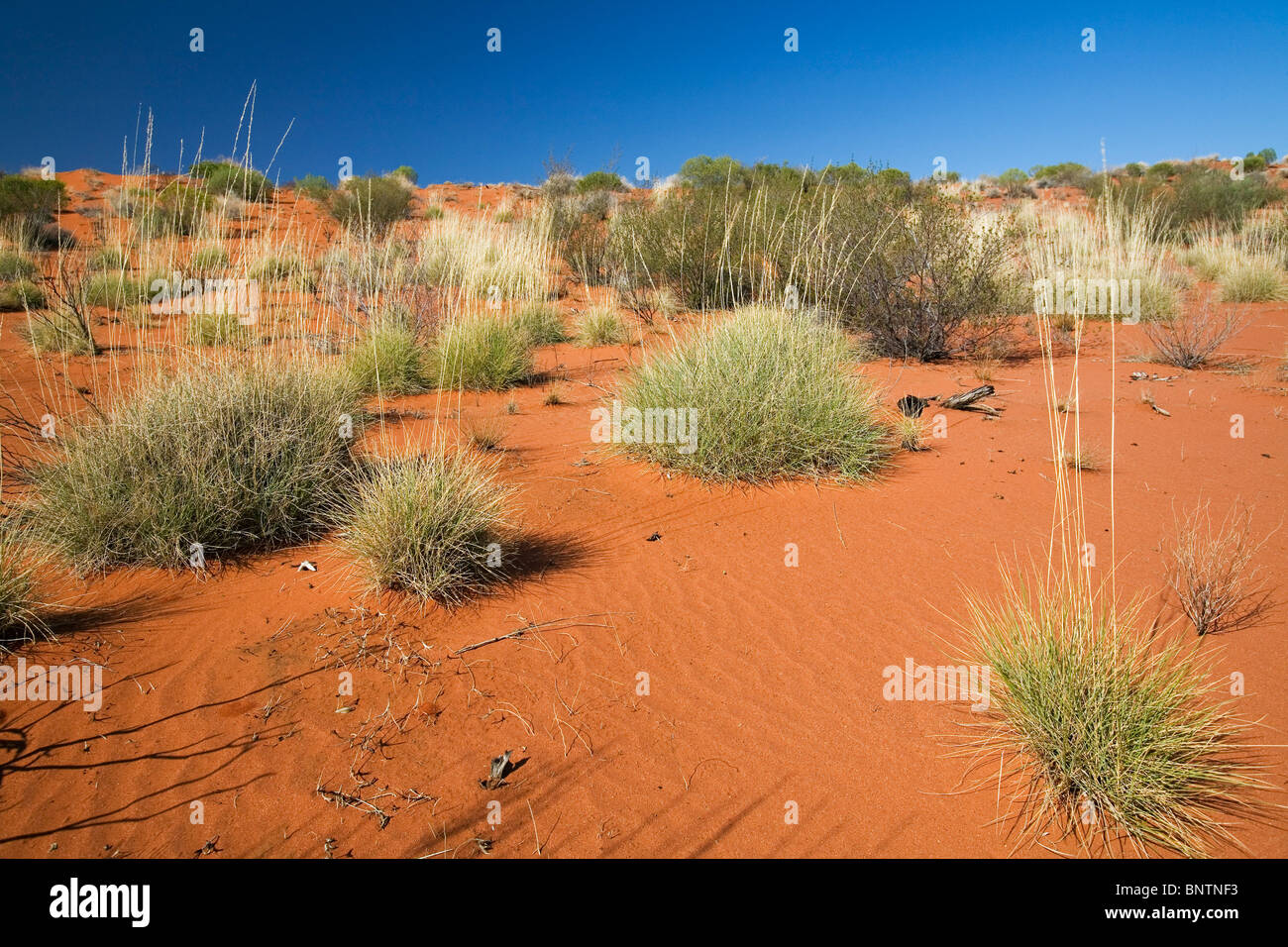 Arid desert landscape of central Australia. Lasseter Highway, Northern 
