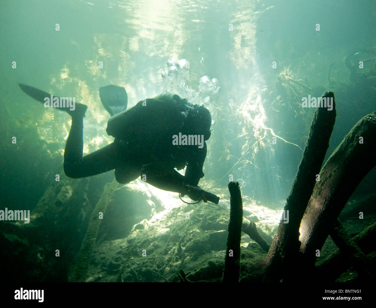 Man scuba diving into Chac Mool, one of the cave systems on the Yucatan Peninsula of Mexico. Stock Photo