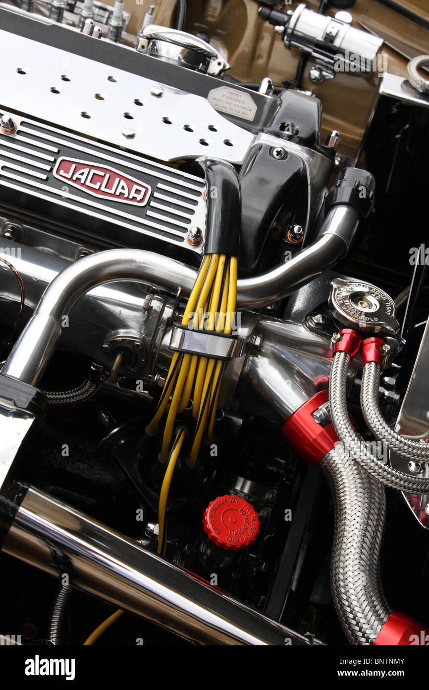 Jaguar engine hires stock photography and images Alamy