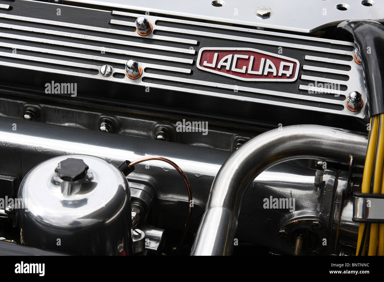 Jaguar engine hires stock photography and images Alamy