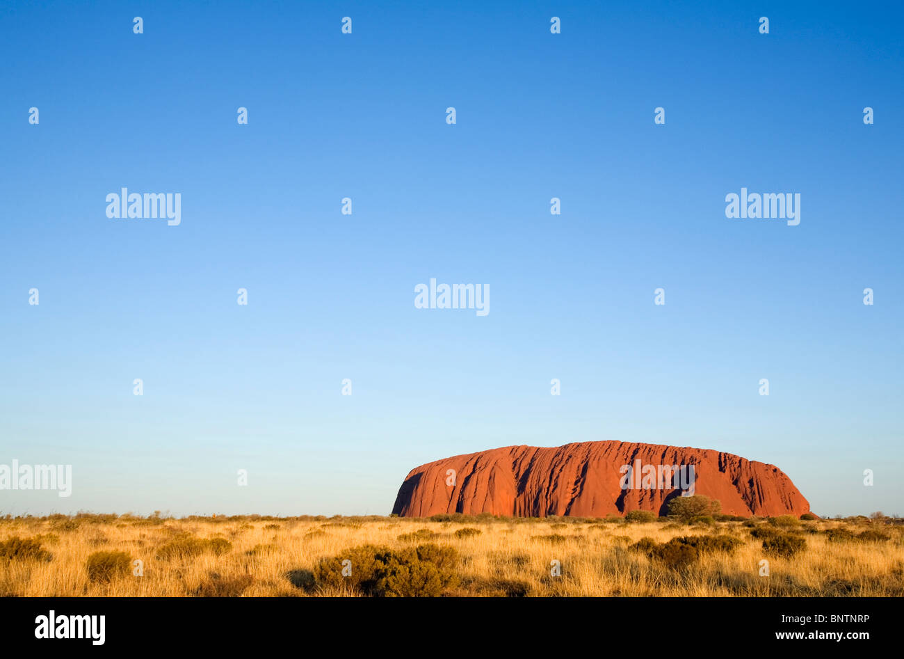Uluru (Ayers Rock) at sunset. Uluru-Kata Tjuta National Park, Northern Territory, AUSTRALIA. Stock Photo
