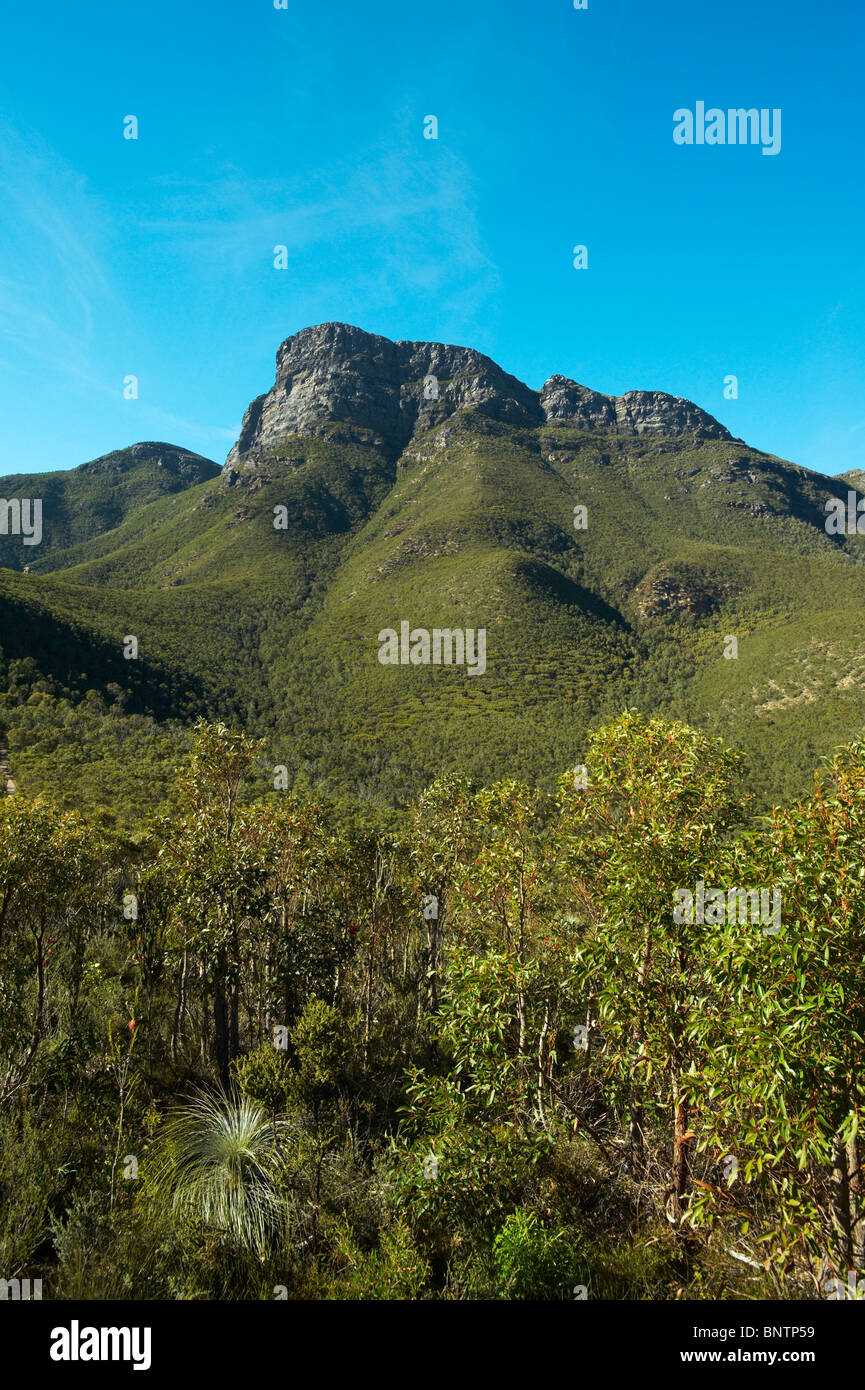 Australia, Western Australia, Stirling Range NP, Bluff Knoll. Stock Photo