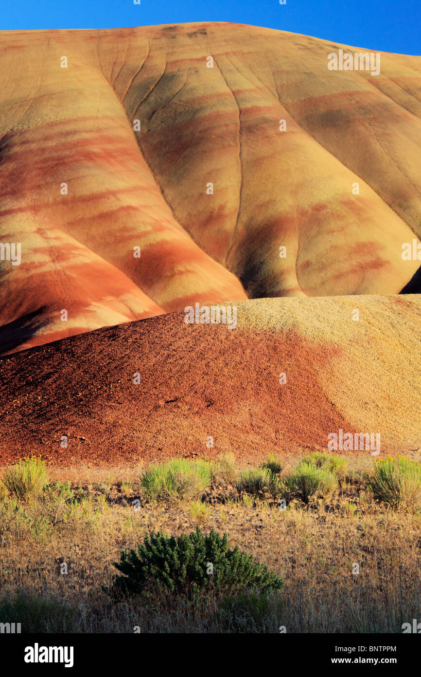 Painted Hills is one of the three units of the John Day Fossil Beds National Monument, located in Wheeler County, Oregon Stock Photo