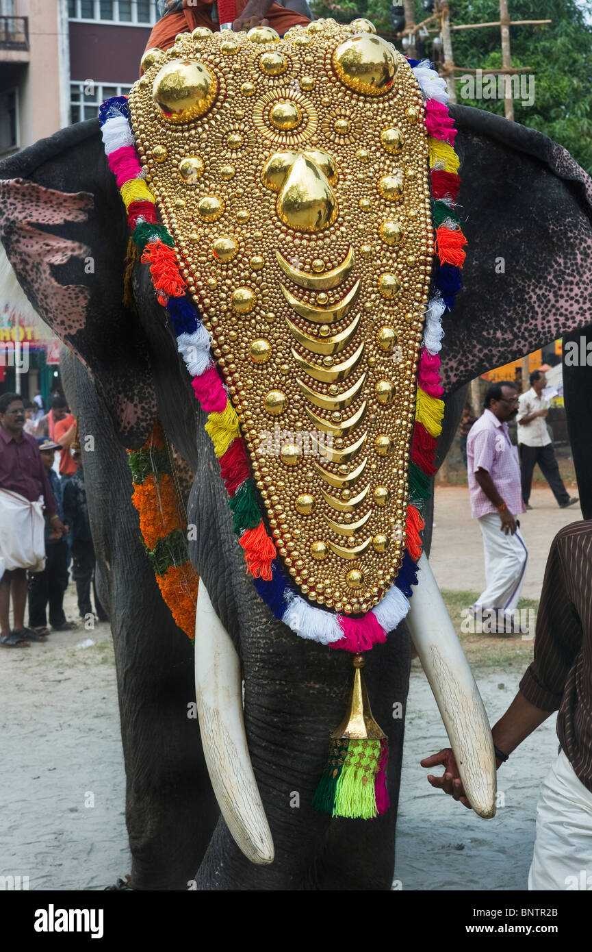 India Kerala Thrissur an harnessed elephant during the Pooram Elephant Festival Stock Photo