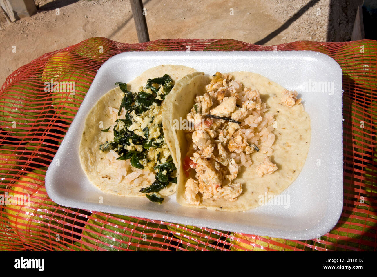 Tortillas and eggs, a typical Mexican + Mayan snack, served at roadside