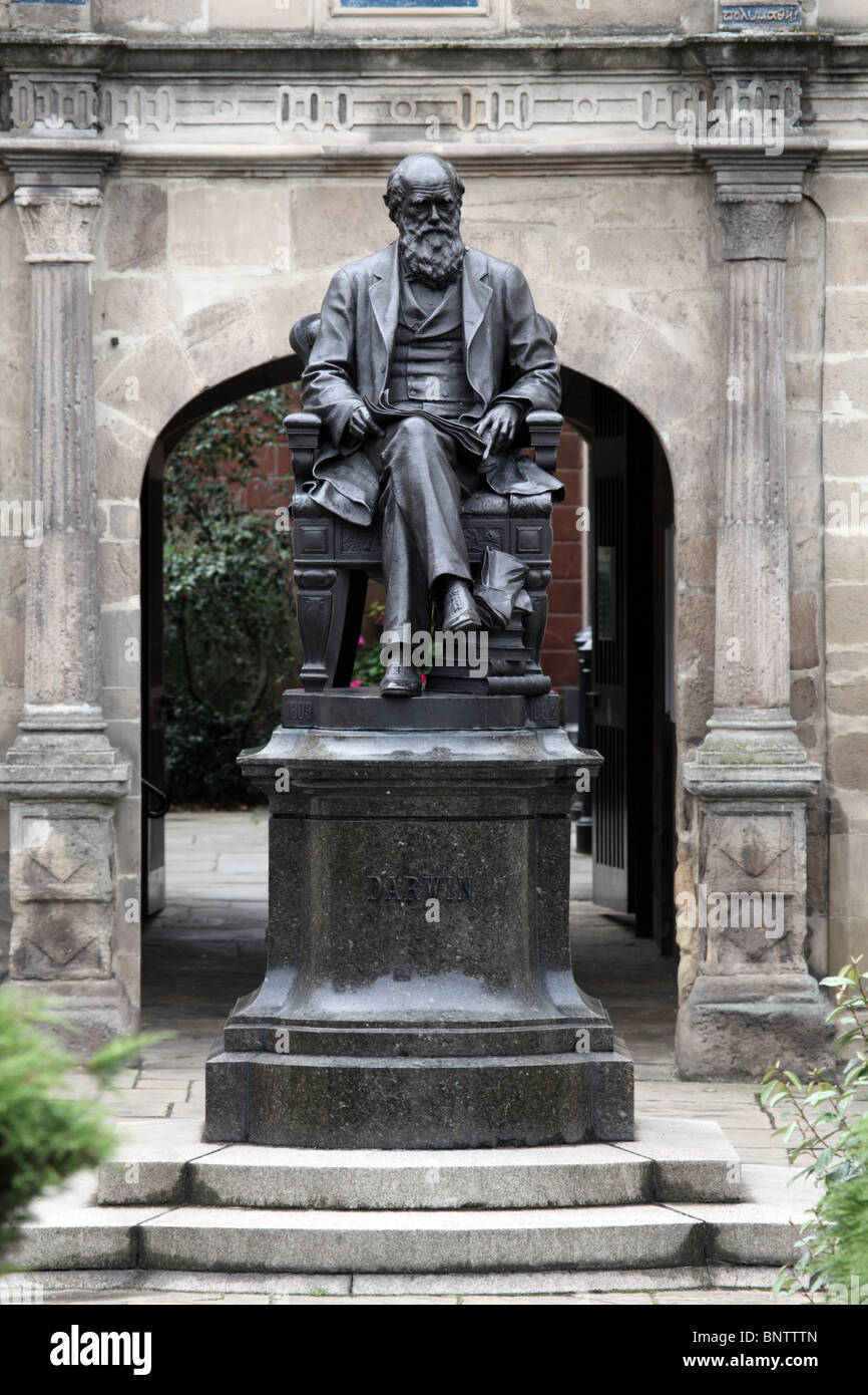 Statue of Charles Darwin outside Shrewsbury Library Stock Photo Alamy