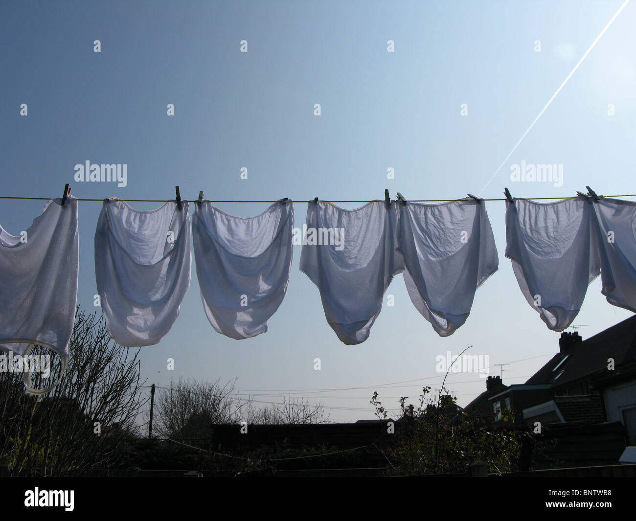 Big knickers on a washing line. Stock Photo