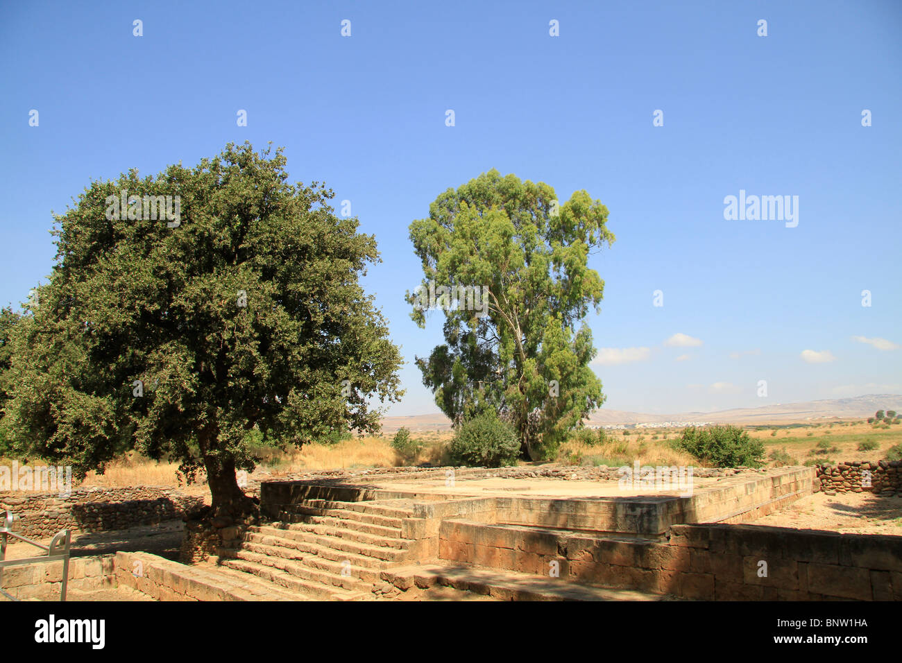 Israel, Upper Galilee, the High Place in Tel Dan Stock Photo