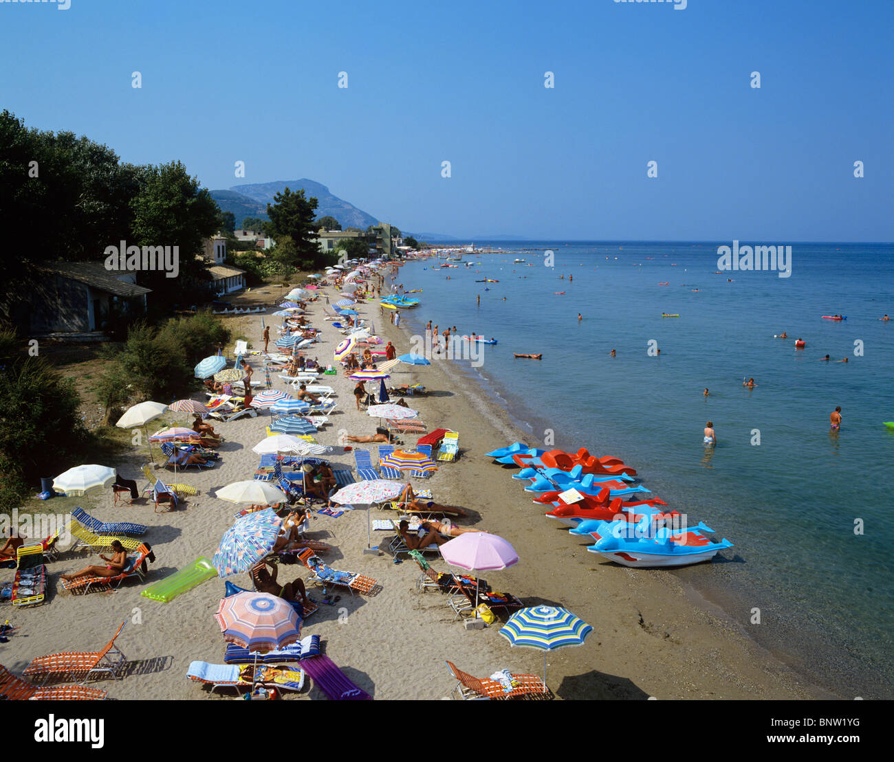 My Image 8