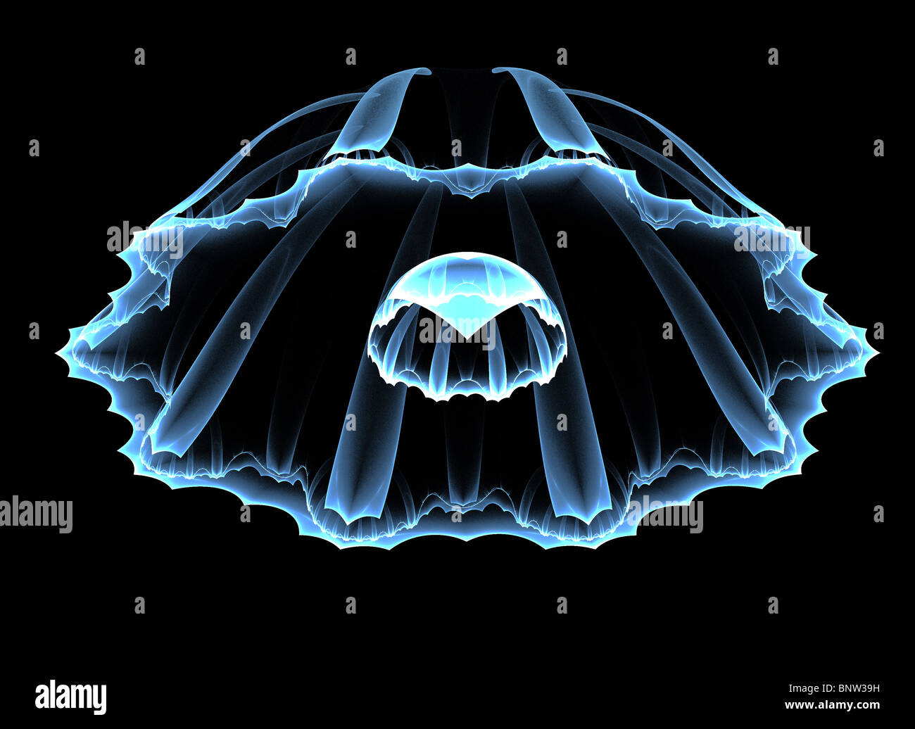 abstract blue jellyfish on black background Stock Photo - Alamy