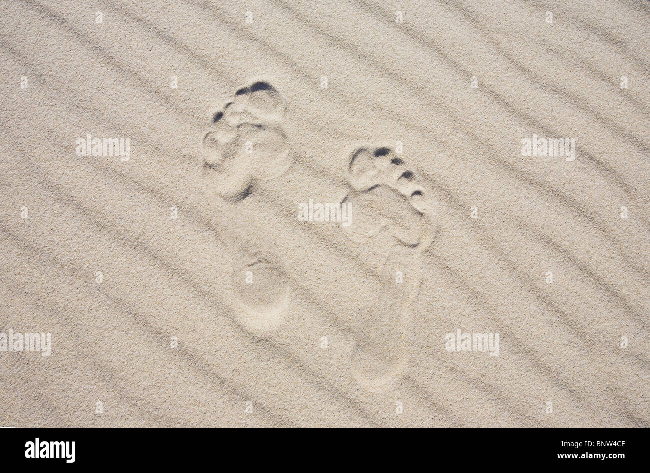 Footprints in the sand Stock Photo