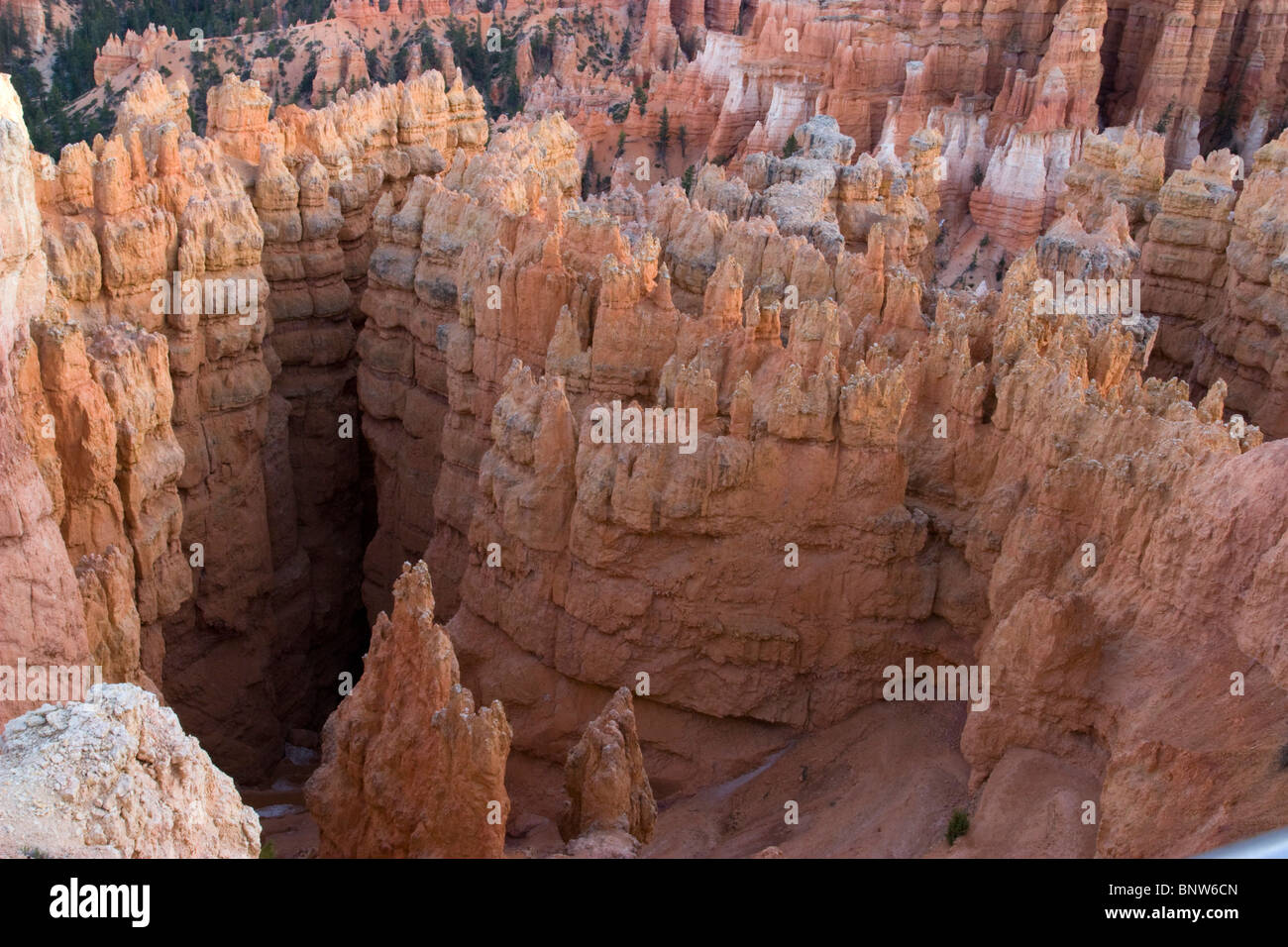 The famous brice canyon national park in utah Stock Photo