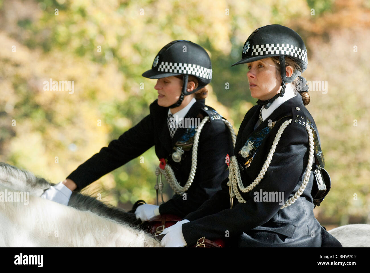 Police including some armed and some on horseback protect a state visit in the Mall, London. Stock Photo