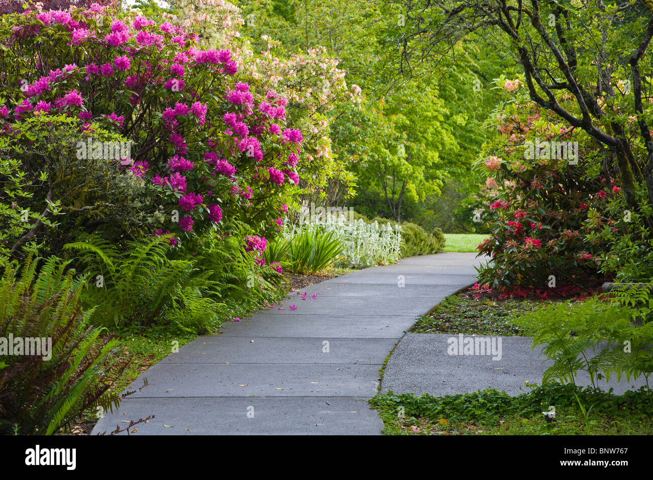 Brookings hires stock photography and images Alamy