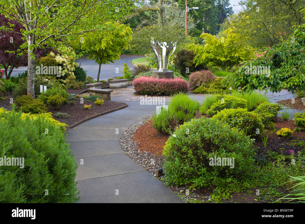 Spring in the Azalea Park in Brookings Oregon Stock Photo Alamy