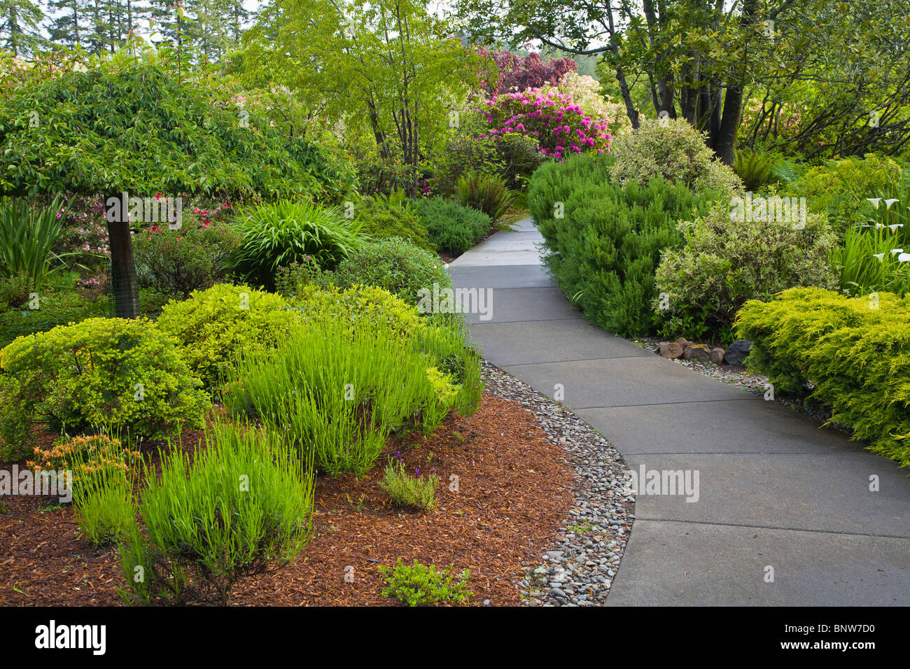 Spring in the Azalea Park in Brookings Oregon Stock Photo Alamy