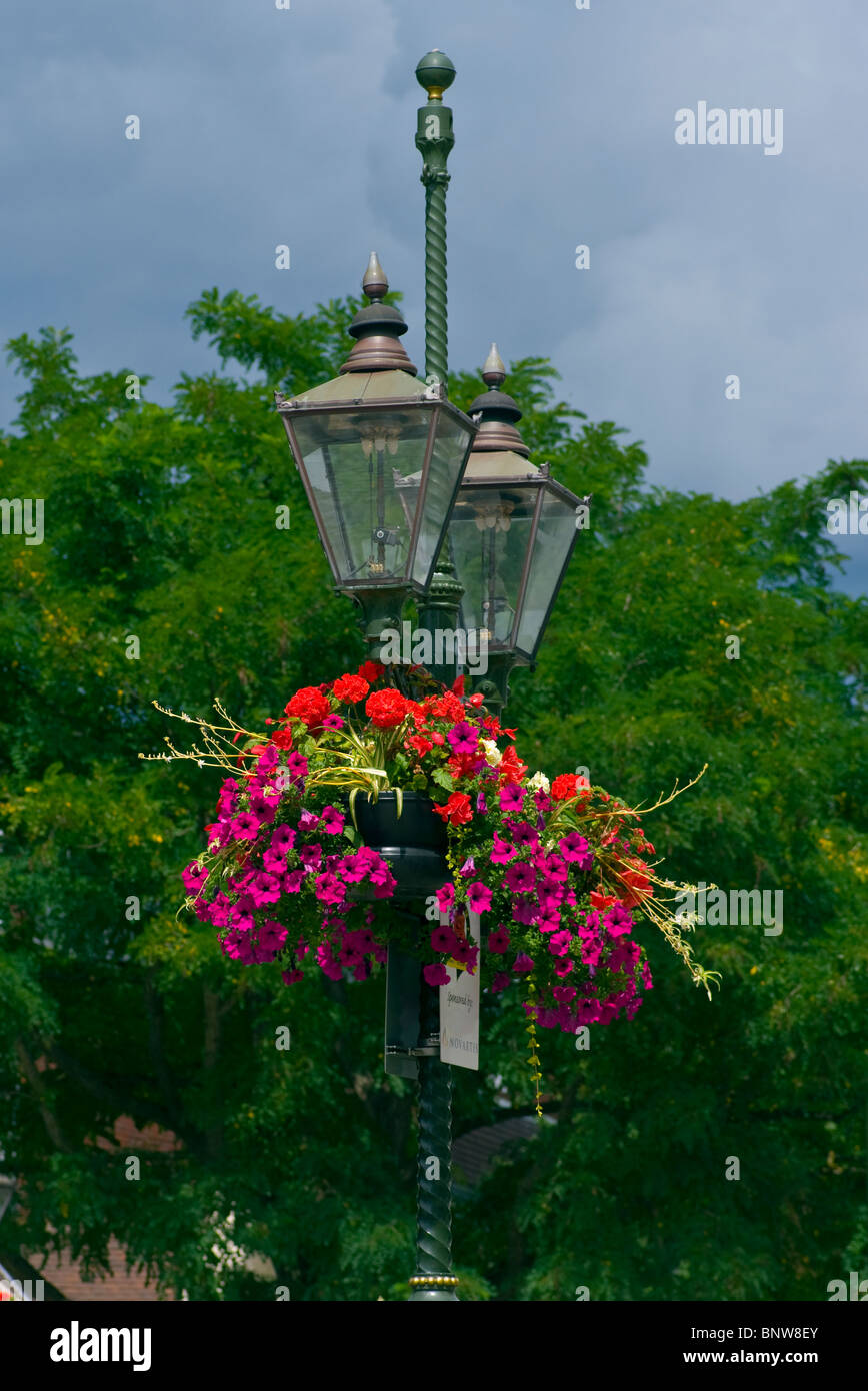 Hanging Baskets Stock Photos & Hanging Baskets Stock Images Alamy