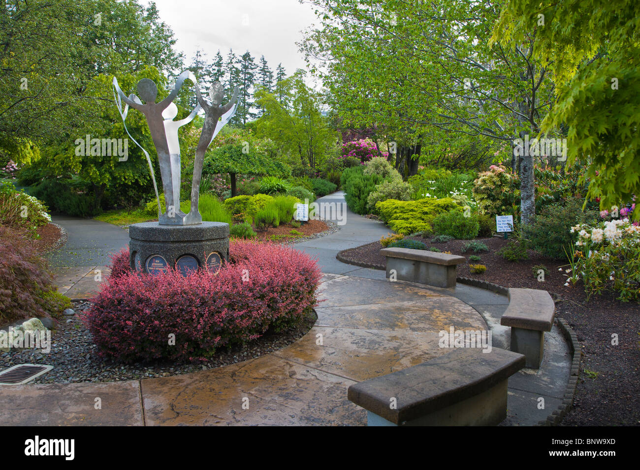 Spring in the Azalea Park in Brookings Oregon Stock Photo Alamy