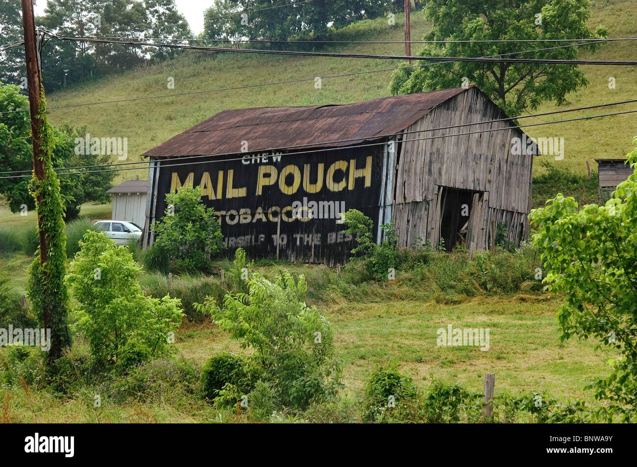 Old Barn Rural Eastern Kentucky Mail Pouch Chewing Tobacco Ad