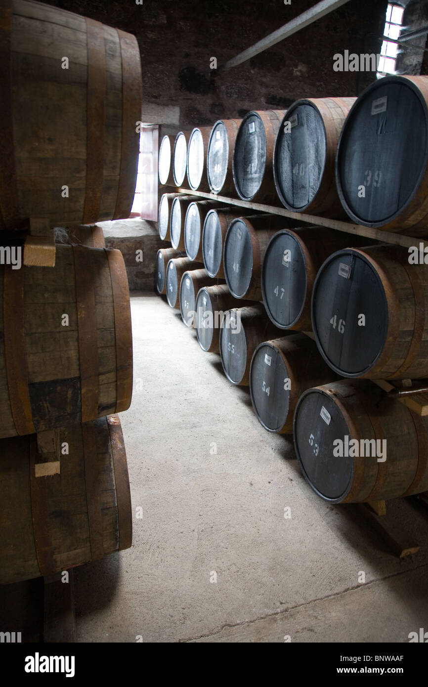 Whisky barrels at Glen Moray Distillery, Speyside, Scotland Stock Photo