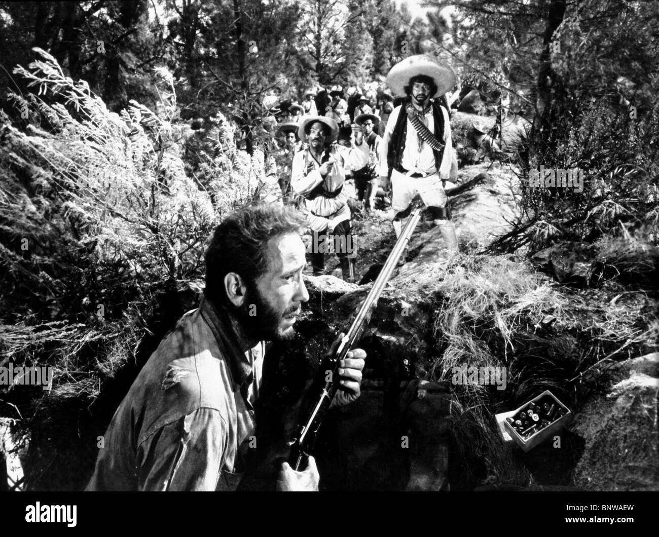 HUMPHREY BOGART THE TREASURE OF THE SIERRA MADRE (1948) Stock Photo