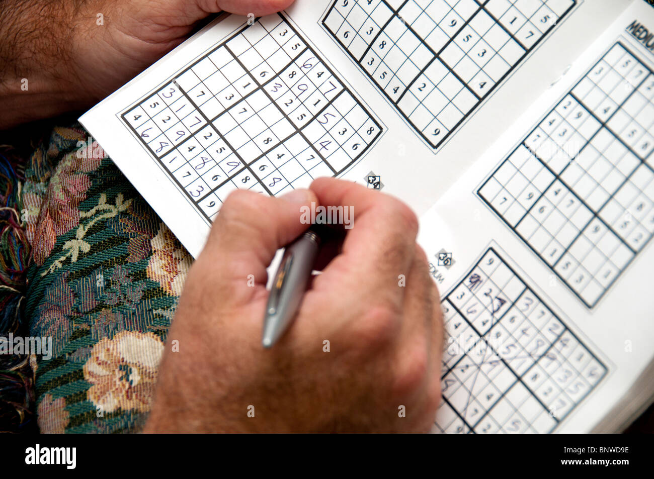 A closeup of a man's hands working a Suduko puzzle. USA. Stock Photo