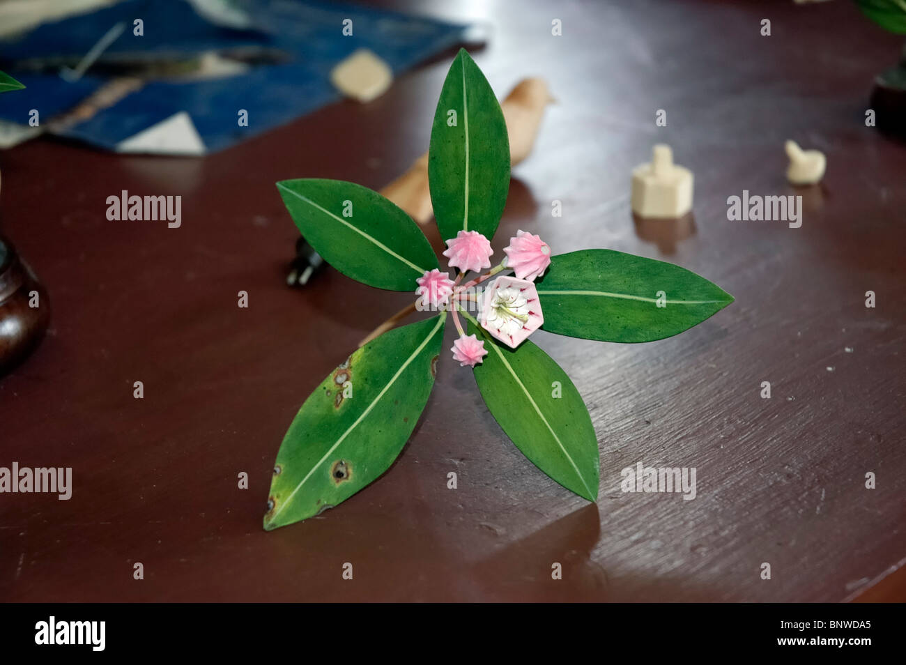 Woodcarving by Jim Sams Kentucky Stock Photo Alamy