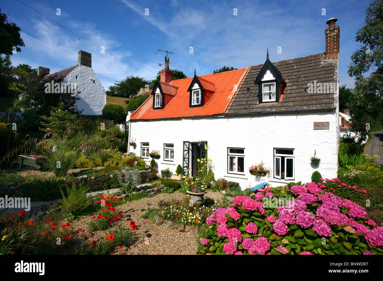 Typical stone houses, made mostly of granite, decorated with lots of flowers, Guernsey, Channel