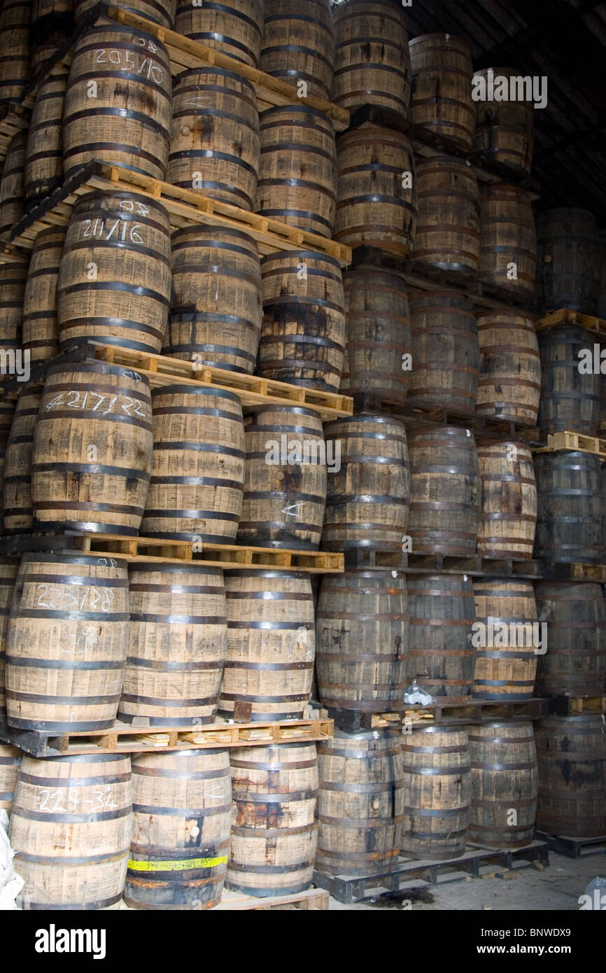 Whisky barrels at Glen Moray Distillery, Speyside, Scotland Stock Photo