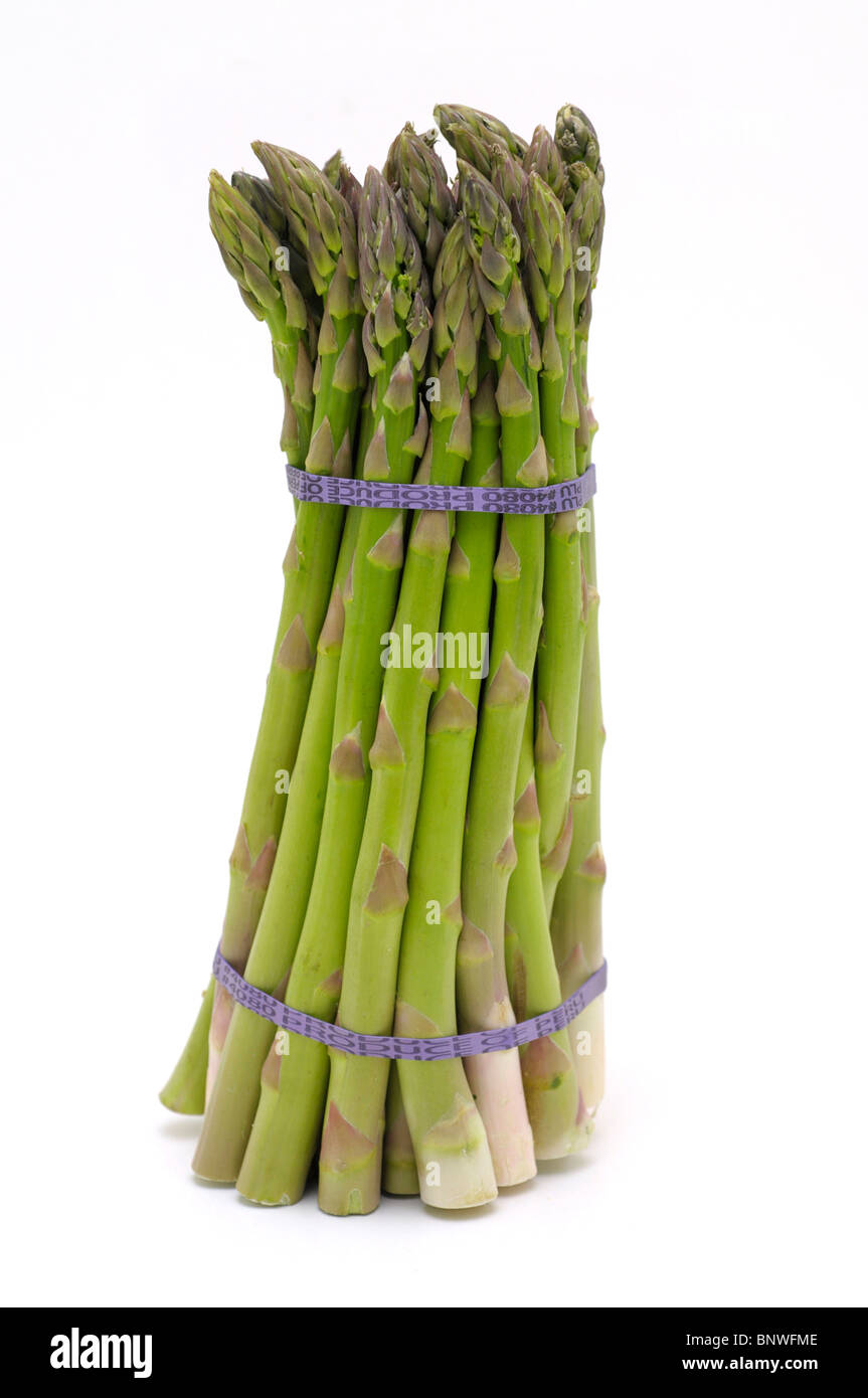 Asparagus Stock Photo