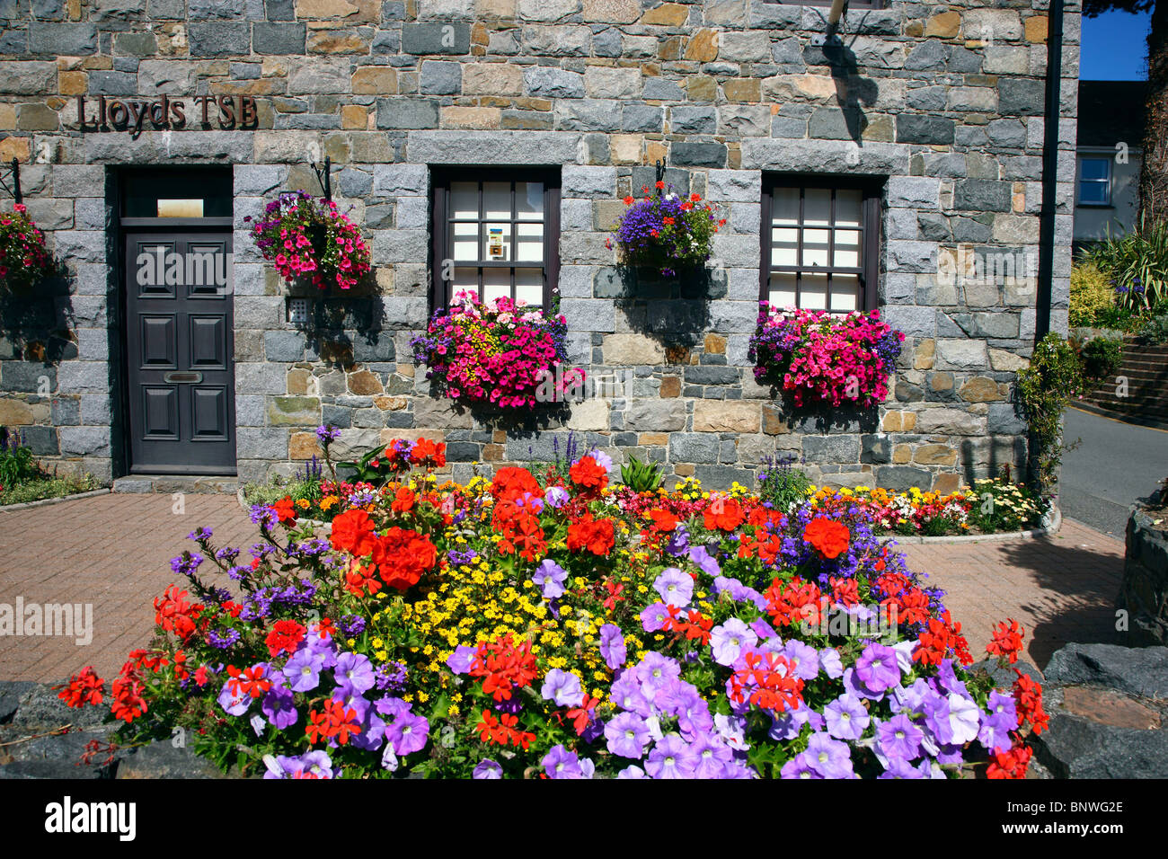 Typical stone houses, made mostly of granite, decorated with lots of flowers, Guernsey, Channel