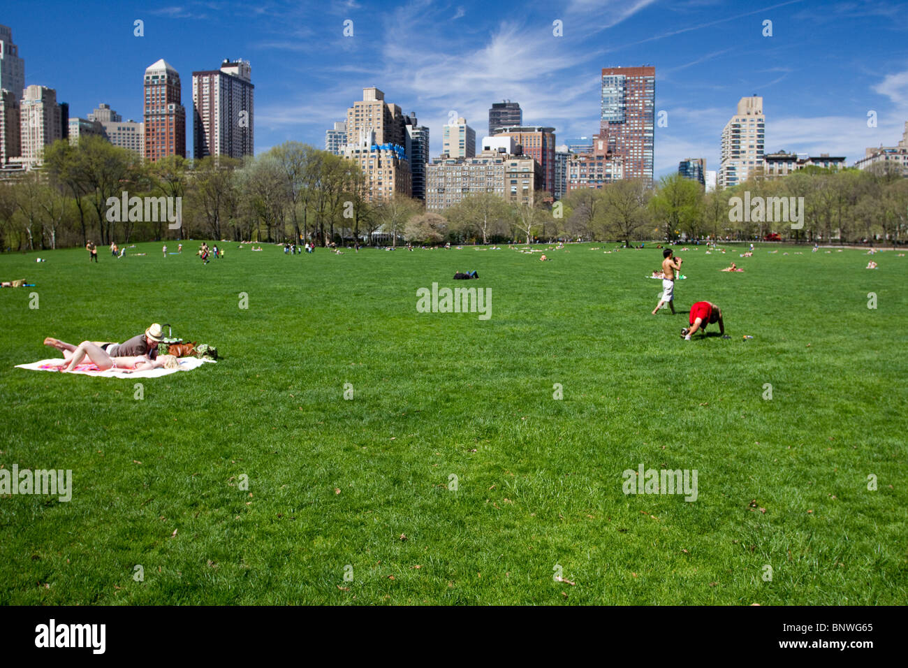 The Sheep Meadow in New York City's Central Park on a Spring Morning ...