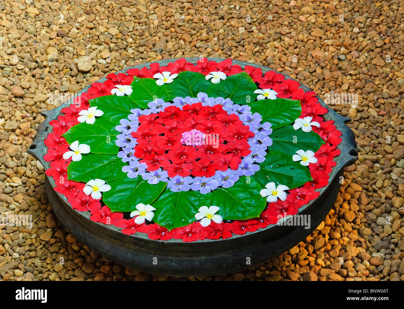 Onam pookalam floral design in kerala hi-res stock photography and ...