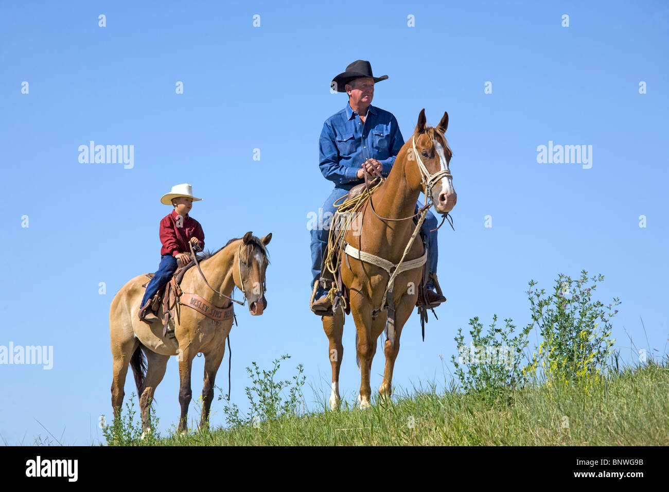 Riders waiting for a cattle drive bringing steers to the Cheyenne ...